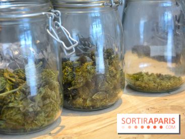 Le Lab du bonheur à Paris, un Coffee Shop CBD bien-être 