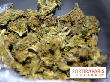 Le Lab du bonheur à Paris, un Coffee Shop CBD bien-être 