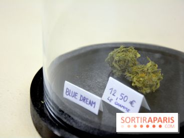 BlueDreamLab le spécialiste de la vente de cannabis CBD