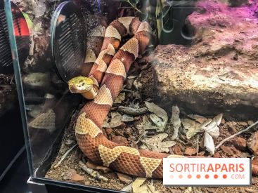 Poison au Palais de la Découverte, les photos 