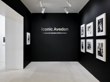 Expo Avedon