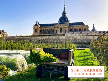 Les Saveurs du Potager du Roi à Versailles : marché de fruits & légumes, expositions et animations