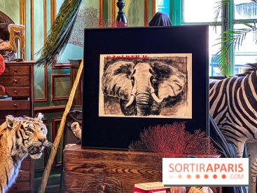 Johnny Depp dévoile une œuvre à découvrir gratuitement dans un cabinet de curiosités parisien