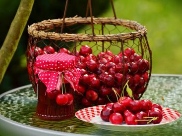 Fête des cerises 2025 dans le Val-d'Oise (95)