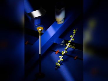 Paris Design Week 2024 : nos photos de l'exposition du collectif Hall Haus à Lafayette Anticipations