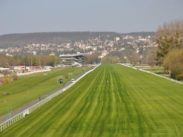 L'Hippodrome de Maisons-Laffitte (78) s'apprête à rouvrir peu à peu ses grilles