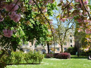 Festival "Jardins du monde en mouvement" à la Cité Universitaire