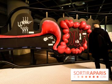 Microbiote, l'exposition à la Cité des Sciences 