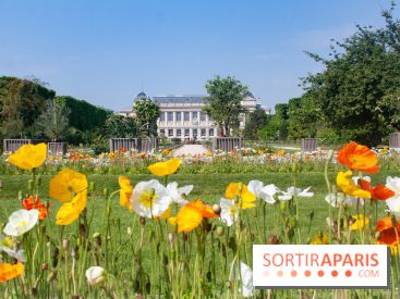 Visuel jardin des plantes Paris