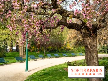 Visuel Paris arbres en fleurs, jardins, parc