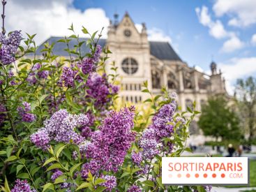 Visuel Paris Jardin Nelson Mandela Eglise Saint Eustache