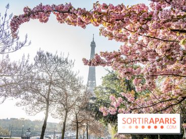 Visuel Paris Tour Eiffel cerisiers en fleurs