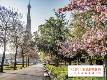 Visuel Paris Tour Eiffel cerisiers en fleurs