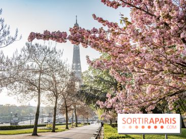 Visuel Paris Tour Eiffel cerisiers en fleurs