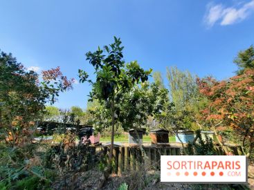 Visuel Paris - rucher