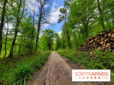 Visuel Paris balade forêt île de france