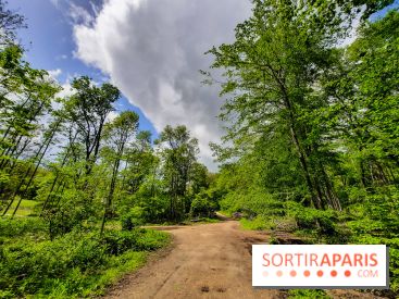 Visuel Paris balade forêt île de france