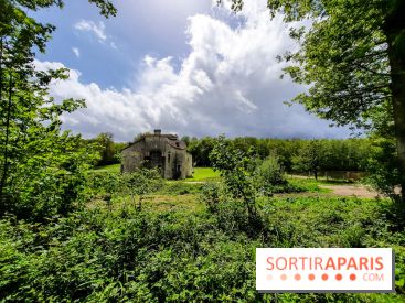Visuel Paris balade forêt île de france