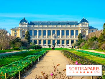 Mille et une Orchidées 2019 au Jardin des Plantes, les photos