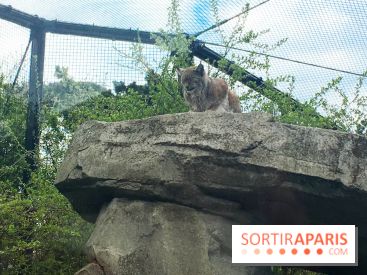 Parc Zoologique de Paris 2019