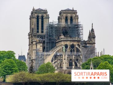 Notre Dame de Paris, les photos des dégâts