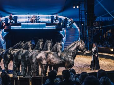 Les Folies Gruss : spectacle équestre à Paris, saison 2026-2027