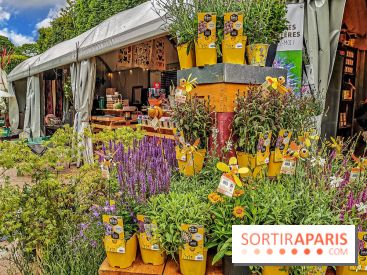 Jardins Jardin aux Tuileries 2019