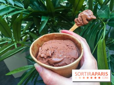 Les glaces au chocolat de Ducasse 