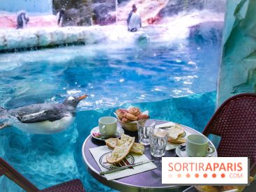 Les petits déjeuners avec les manchots de l'aquarium Sea Life