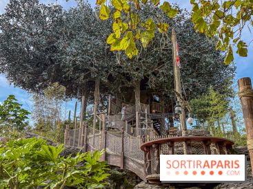 Visuels Disneyland Paris - La Cabane des Robinson