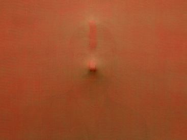 Nuit Blanche 2024 : une installation entre nature et culture à la Galerie Saint-Séverin