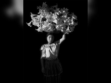 Noir et Blanc : une esthétique de la photographie, l'exposition au Grand Palais