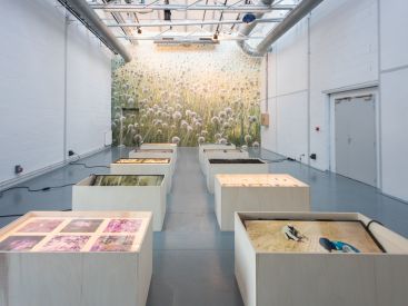 Zones critiques, le festival d'art contemporain écolo