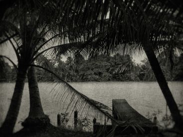 L'Odeur de la nuit était celle du jasmin : l'expo photo à l'Académie des Beaux-Arts