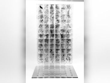 Vie Digitale, l'exposition de Rodolphe Barsikian à la Galerie Joseph