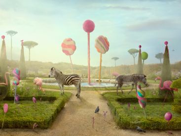 Overgrown, l'exposition gratuite totalement loufoque de Nikolina Petolas à la galerie Boris