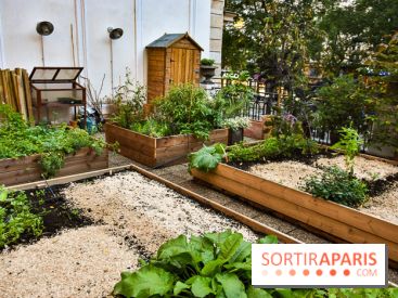 L'Hôtel des Grands Boulevards inaugure son potager suspendu