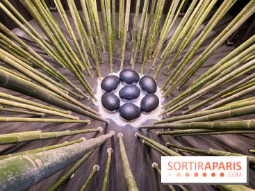 Black Bamboo de Nils-Udo à la Fondation EDF