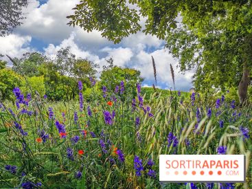 Visuel Paris Jardin des Plantes - Muséum MNHN