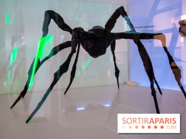 Araignées, Lucioles et Papillons au Musée en Herbe : nos photos