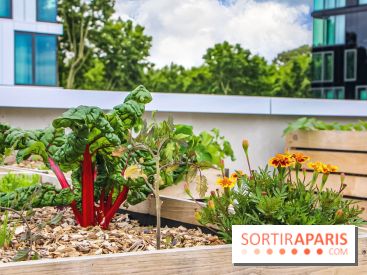 Le Perchoir ferme urbaine Porte de Versailles