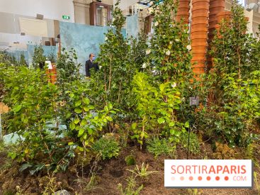 La beauté se cultive, Chanel au Jardin des Plantes