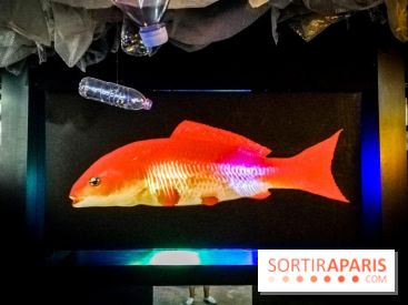 Mythologies du poisson rouge, l'exposition de l'Appart Renoma, nos photos