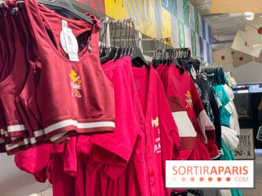 Brassière et tunique Gryffondor