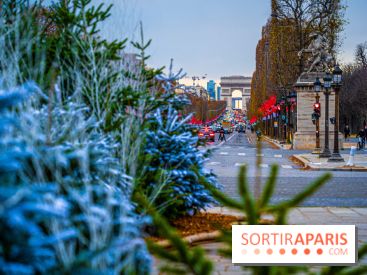 Photos : Illuminations et sapins de Noël Place de la Concorde