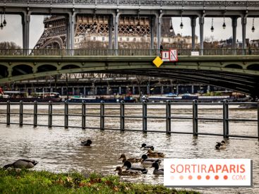 La Seine en crue février 2021