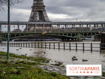La Seine en crue février 2021