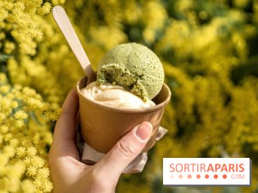 Photos : Wonderland Pâtisserie 