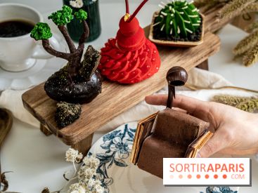 Photos : Wonderland Pâtisserie 