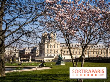 Cerisiers en fleurs à paris et aux alentours - Jardins des Tuileries - magnolias
